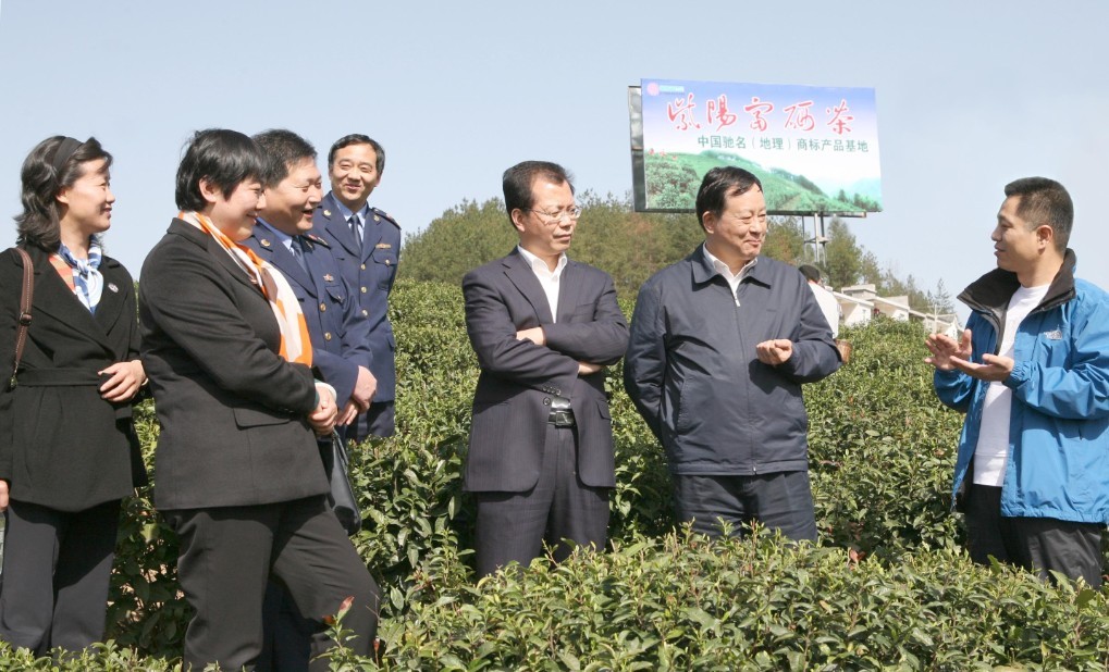 003-付双建在陕调研-在紫阳县实地考察富硒茶驰名地理商标产业基地.JPG